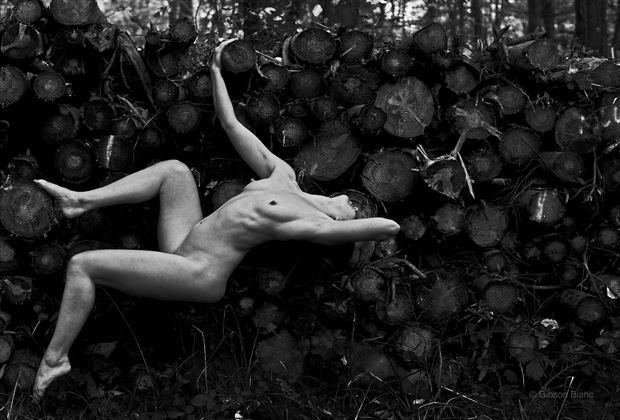 more logs artistic nude photo by photographer gibson