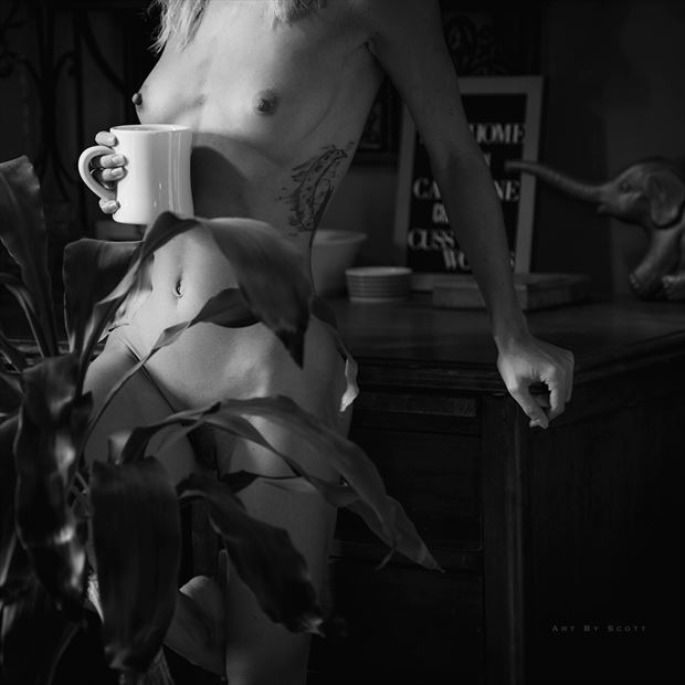 morning coffee 0003 artistic nude photo by photographer art_by_scott74