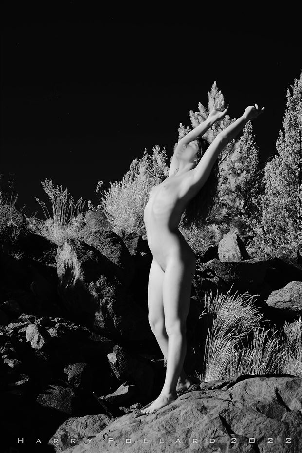 morning glory artistic nude photo by photographer shootist