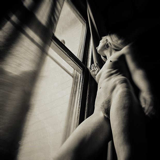 morning window artistic nude photo by photographer dave earl