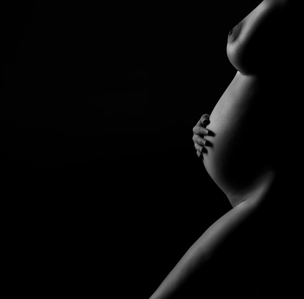 motherhood artistic nude photo by photographer tris dawson
