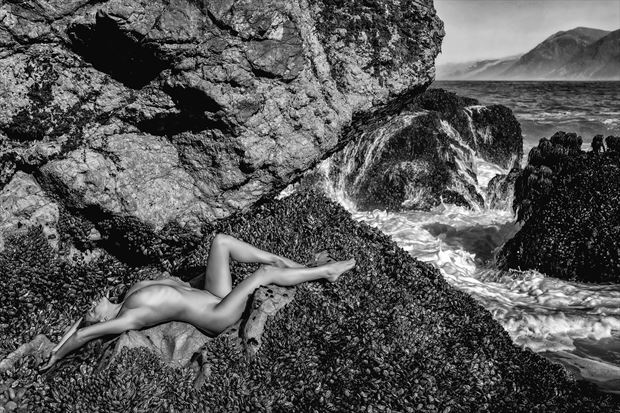 mountain of mussels artistic nude photo by photographer philip turner