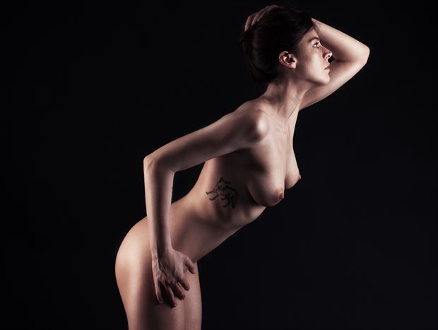 msdorrie artistic nude artwork by photographer zia