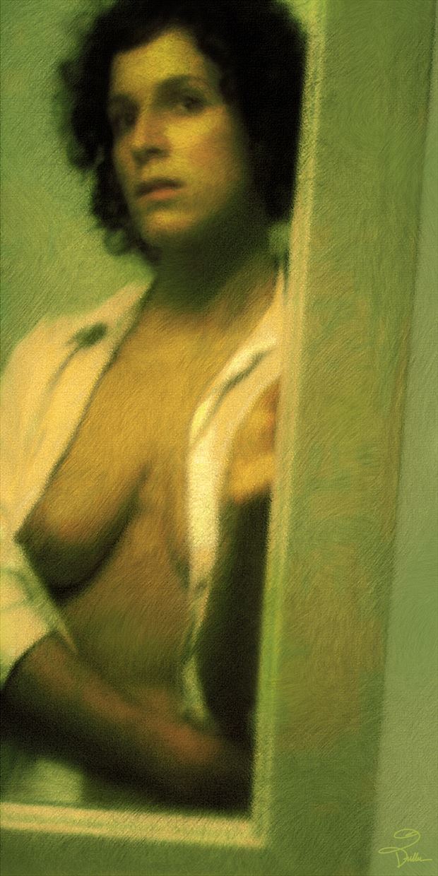 muriel s mirror artistic nude artwork by artist van evan fuller