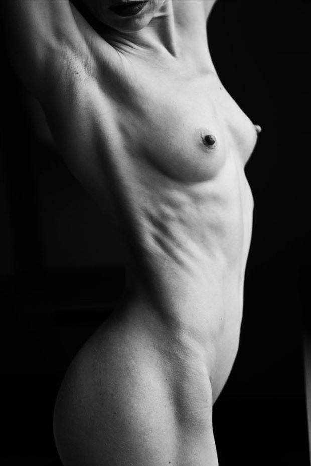 muscles artistic nude photo by photographer werner lobert
