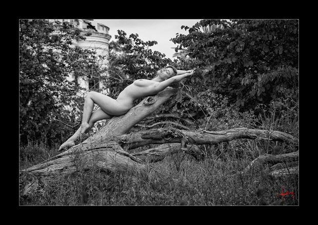 my corsesca artistic nude photo by photographer doug harding