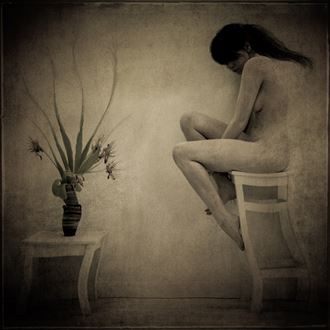 my favourite plant artistic nude photo by photographer dave hunt