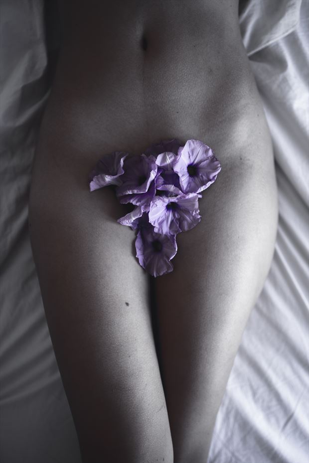 my flower garden artistic nude artwork by photographer brendan louw