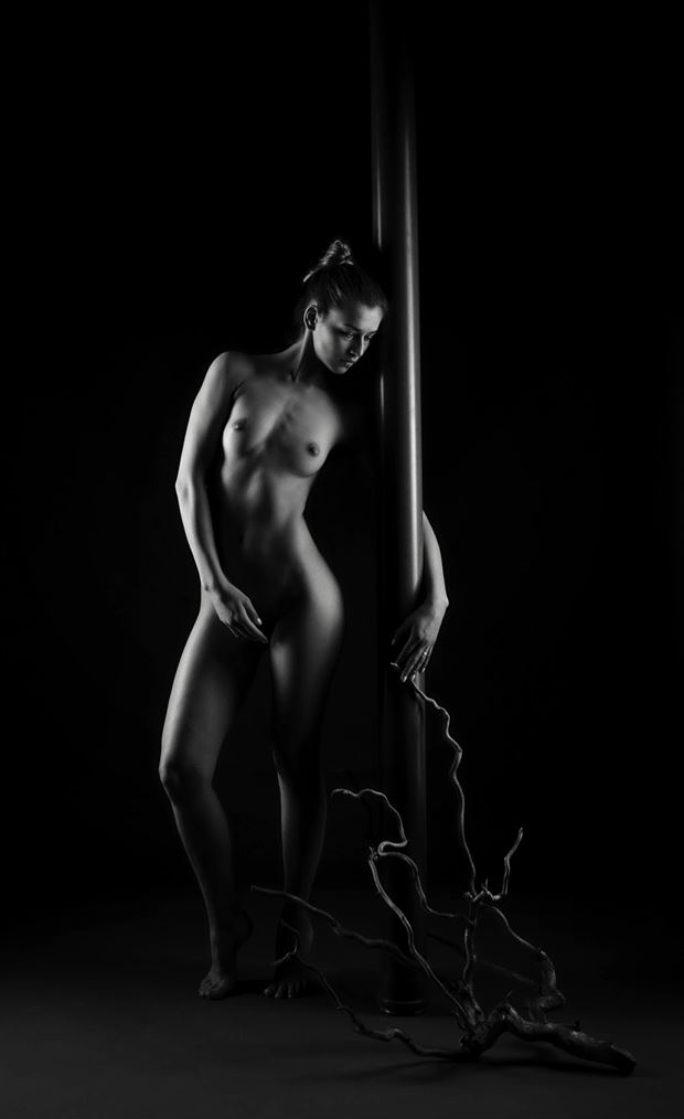 my pole artistic nude artwork by photographer richard byrne