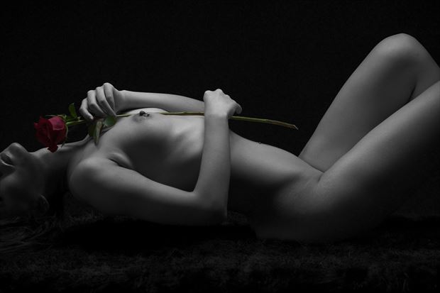 nancy bodyscape with flower artistic nude photo by photographer whitecranephoto