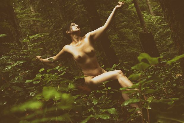 nancy forest figure artistic nude photo by photographer gunsmokephoto