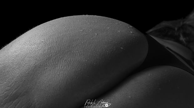 natural curves i artistic nude artwork by photographer patrik lee andersson