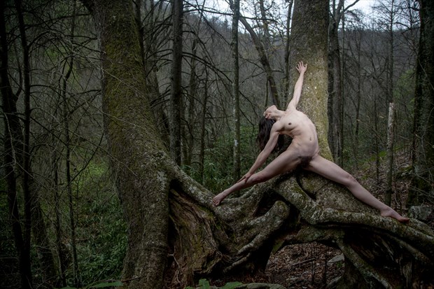 nature artistic nude photo by photographer toby maurer