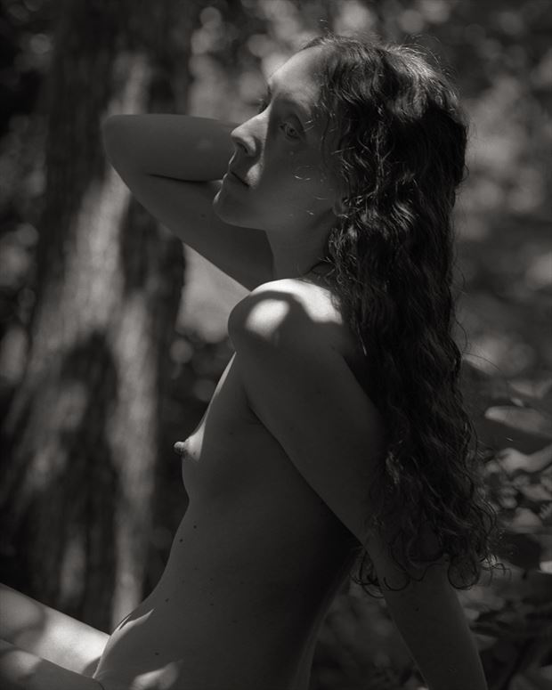 nature chiaroscuro photo by photographer peaquad imagery