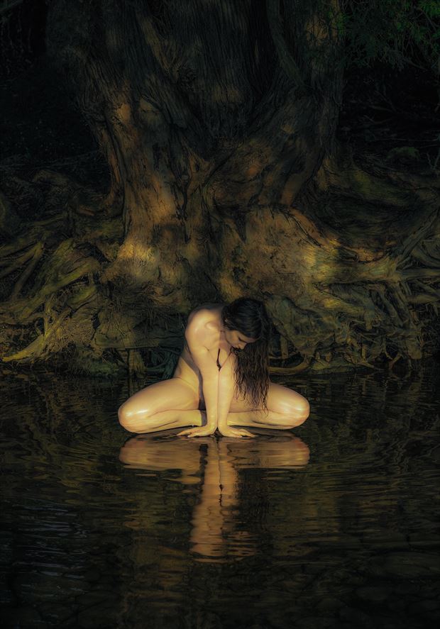 nature implied nude photo by photographer ellis