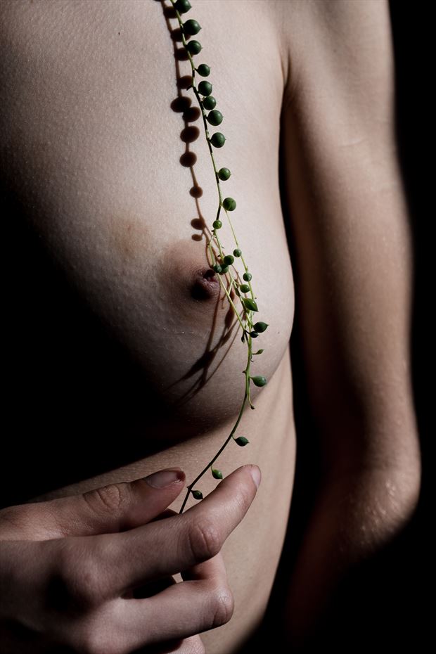 nature s pearls close up colour artistic nude artwork by photographer brendan louw