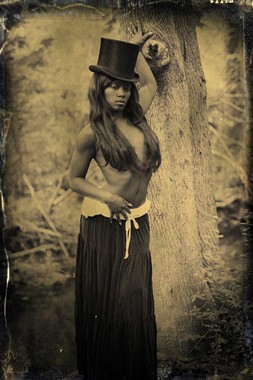 nature vintage style photo by photographer stevelease