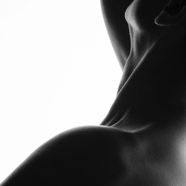 neck lines studio lighting photo by photographer douglas
