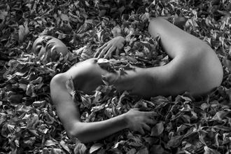 nesting in the leaves artistic nude photo by photographer gpstack