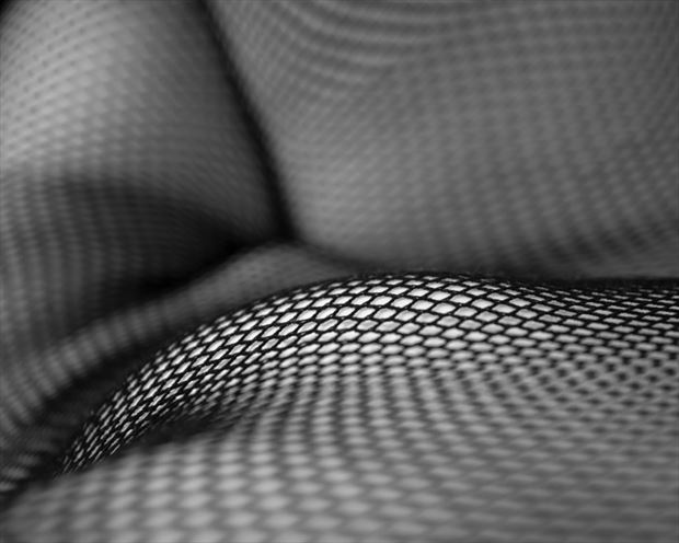 net series artistic nude photo by photographer phelan