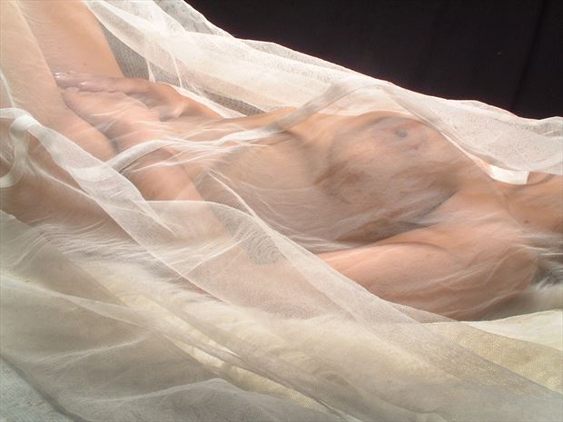 netted nude artistic nude photo by photographer inder gopal