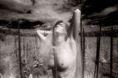 new mexican field nude artistic nude photo by photographer woodeye