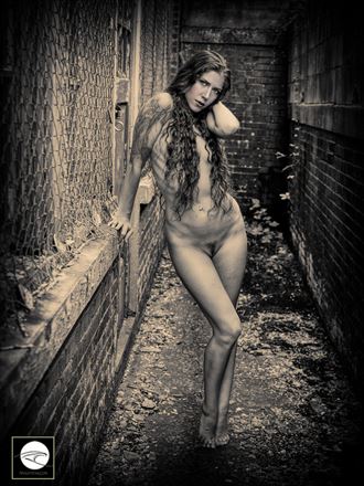 nf 1797 artistic nude photo by photographer dewynter