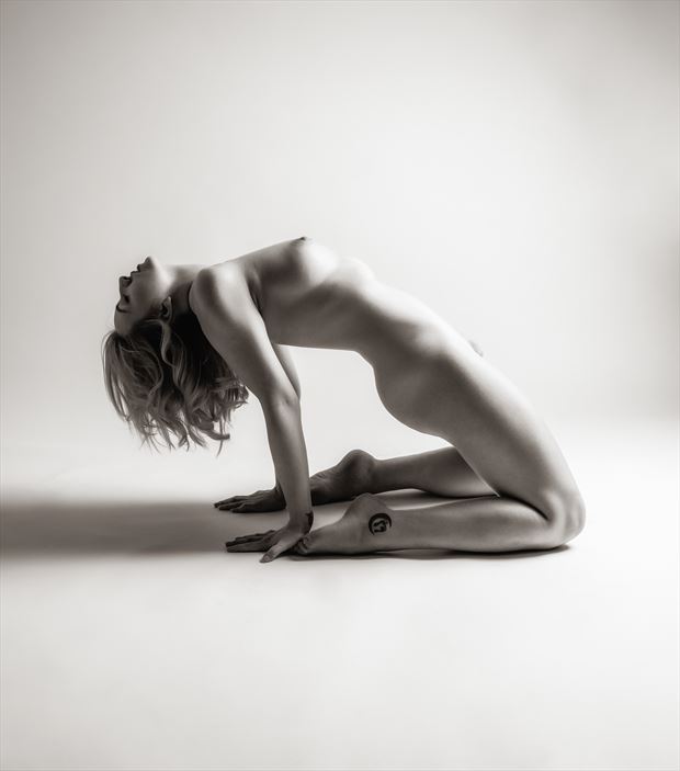 nicole artistic nude artwork by photographer neilh