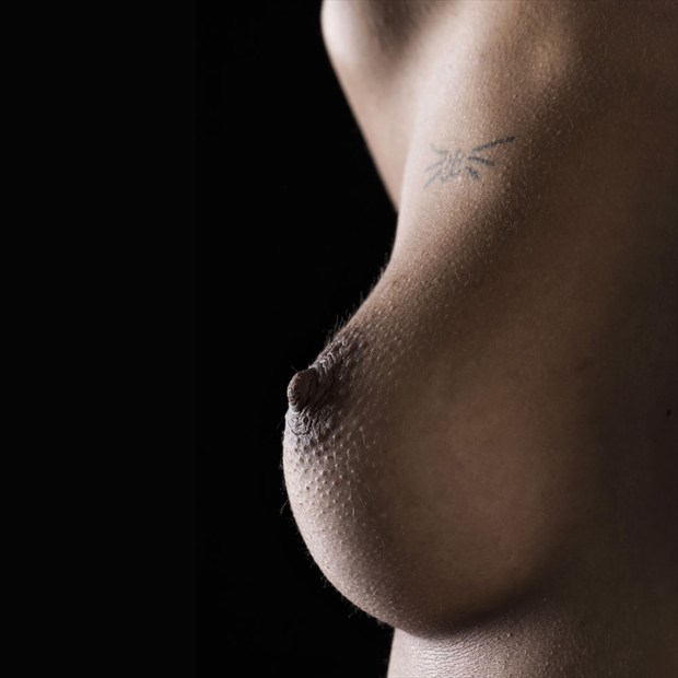nippleV5 Artistic Nude Photo by Photographer mustafa turgut