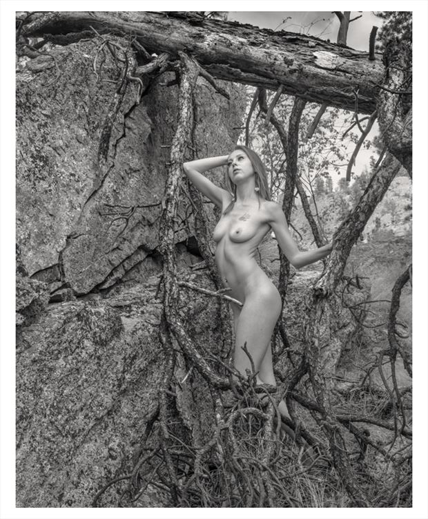 no 210 myshala artistic nude photo by photographer g r nylander