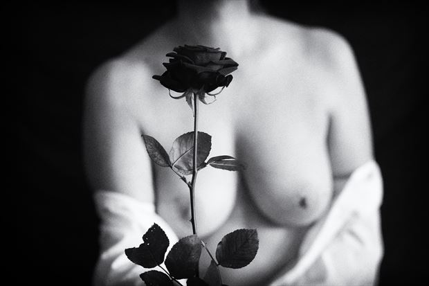 no rose without artistic nude photo by photographer photo nurt