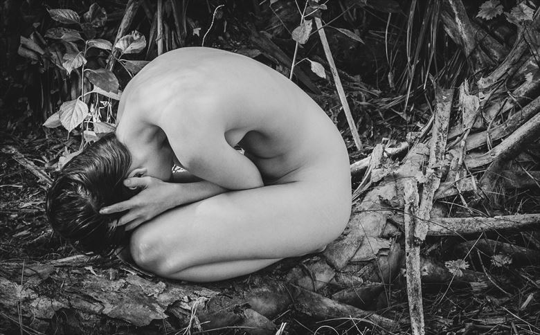 nova on fallen tree artistic nude photo by photographer chris gursky