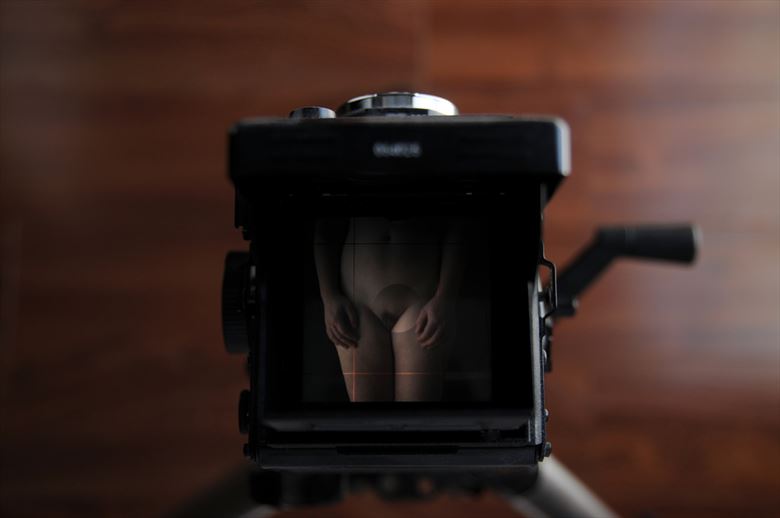nude artistic nude photo by photographer barryg