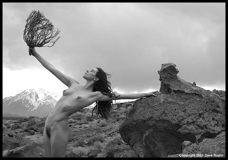 nude california 2023 artistic nude photo by photographer dave rudin