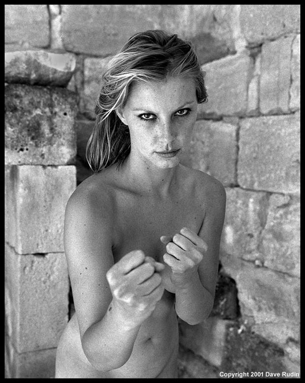 nude france 2001 artistic nude photo by photographer dave rudin