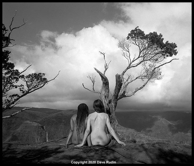 nude hawaii 2020 artistic nude photo by photographer dave rudin