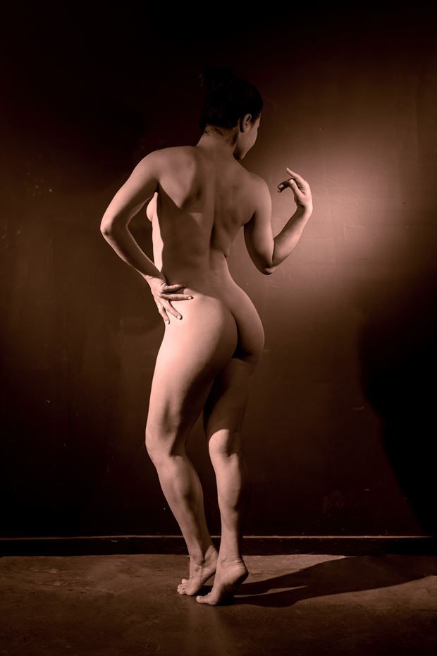 nude in brown tone artistic nude photo by photographer lamont s art works