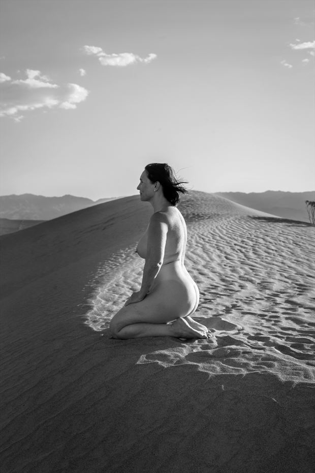 nude in dunes artistic nude photo by photographer mr muze
