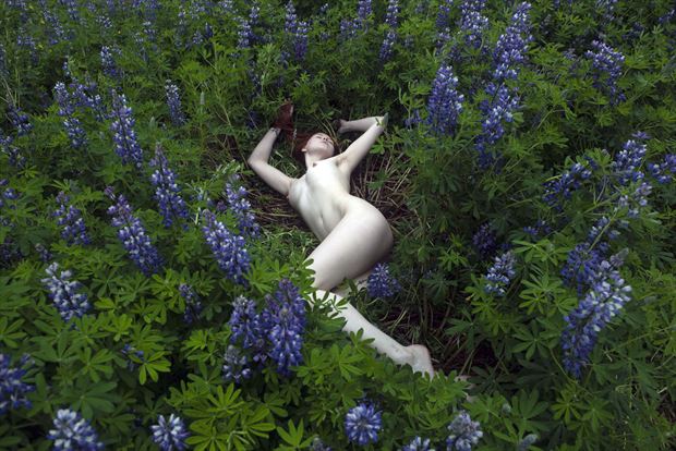 nude in lupines artistic nude photo by photographer linda hollinger