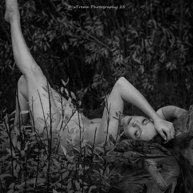 nude in nature artistic nude photo by model sarabunnyxoxo