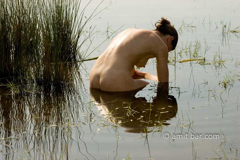 nude in water artistic nude photo by photographer bodypainter