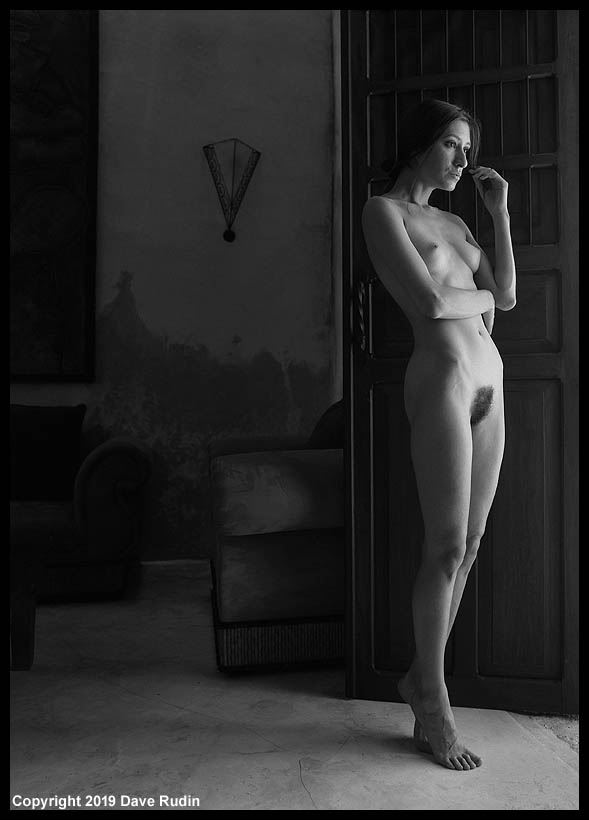 nude mexico 2019 artistic nude photo by photographer dave rudin
