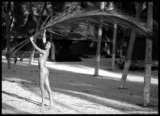 nude mexico 2023 artistic nude photo by photographer dave rudin