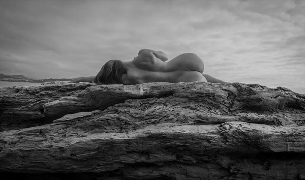 nude on beach log artistic nude photo by model kalas_adventure