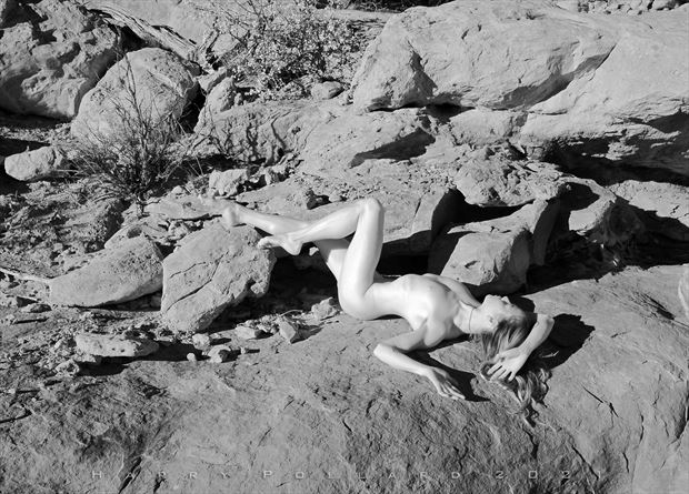 nude on sandstone artistic nude photo by photographer shootist