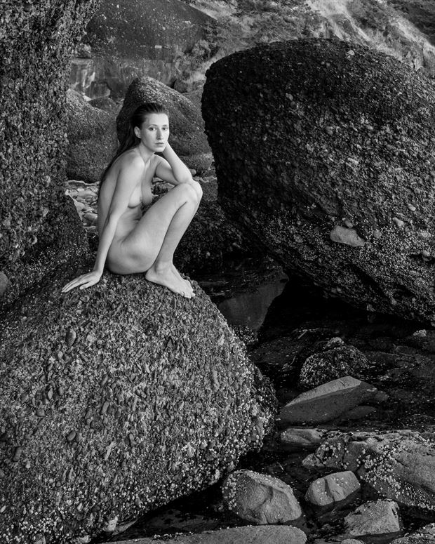 nude portrait of kate on a rock with barnicles fashion photo by photographer lightworkx