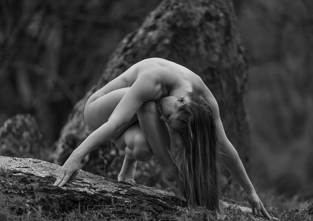 nude posing in nature artistic nude photo by model kalas_adventure