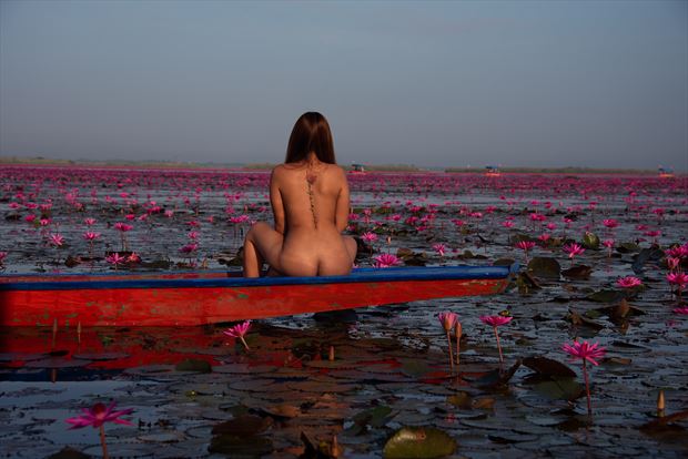 nude thai model on red lotus sea artistic nude photo by photographer arabi visual arts