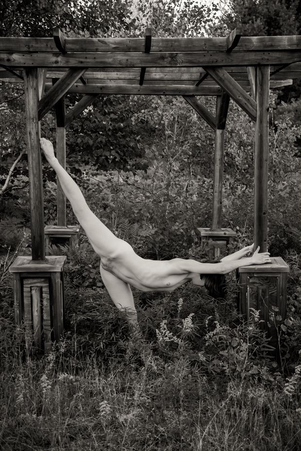 nude under gazebo artistic nude photo by photographer risen phoenix