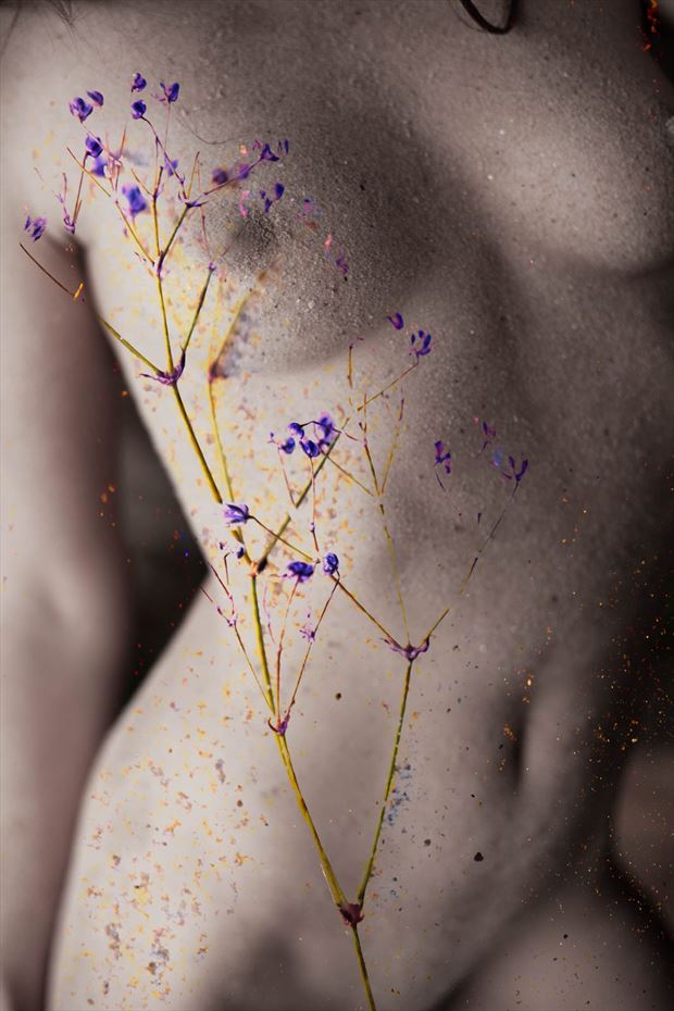 nude with flowers artistic nude photo by photographer christopher meredith